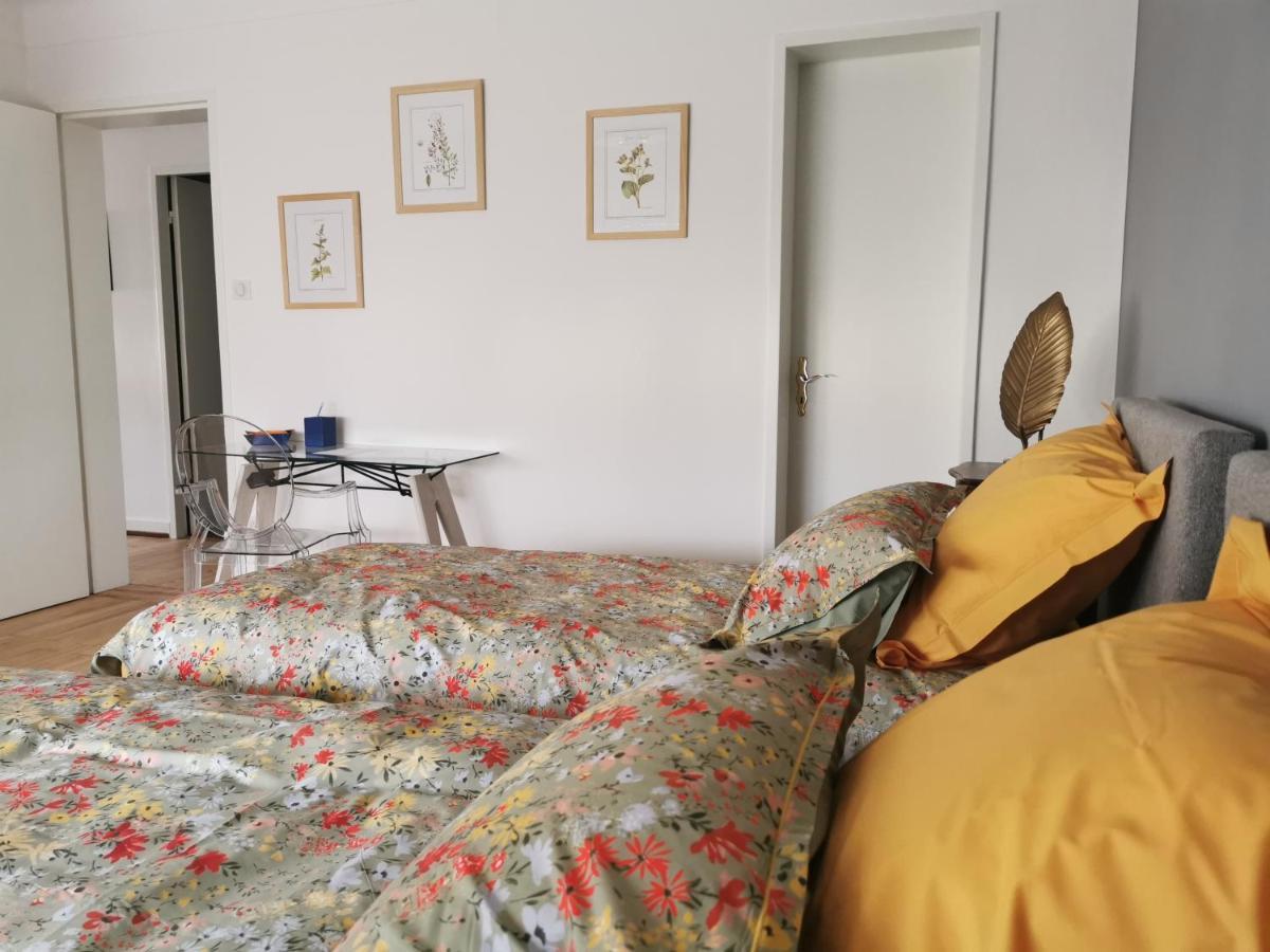 La Maison De Lucie - Grande Maison Ideale En Famille Ou Entre Amis - Jardin - Parking Gratuit Selestat Luaran gambar
