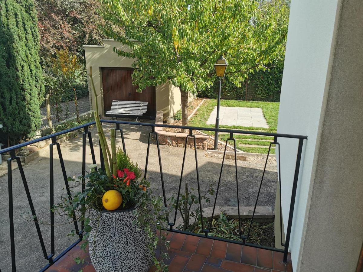 La Maison De Lucie - Grande Maison Ideale En Famille Ou Entre Amis - Jardin - Parking Gratuit Selestat Luaran gambar